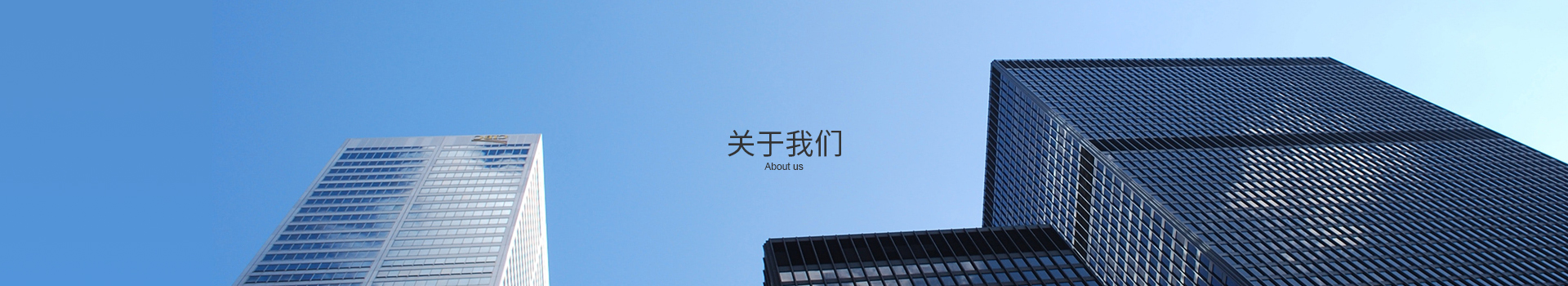 公司簡介
